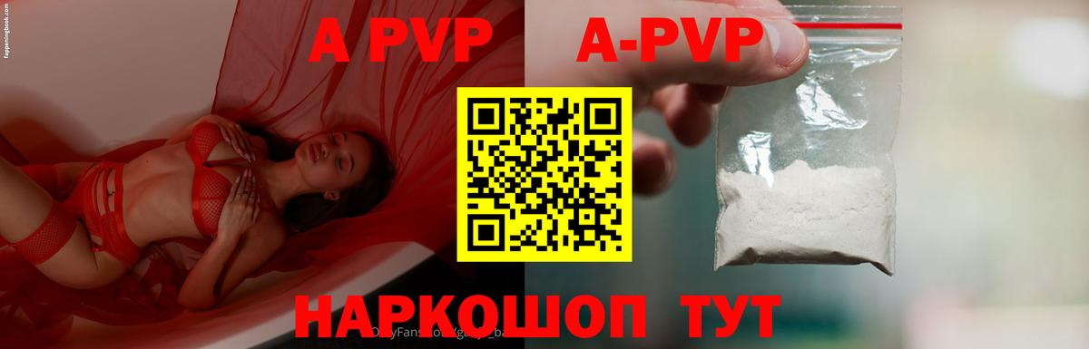 A PVP СК КРИС Майкоп