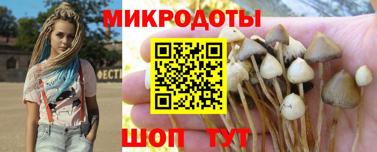Псилоцибиновые грибы мицелий Майкоп